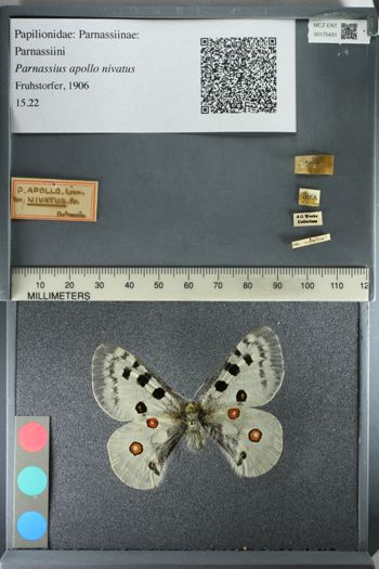 Media type: image;   Entomology 175431